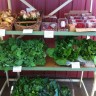 September 15 Farm Tour and Market Day